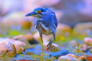 开云体育注册app-沙尔克04连续颓势，降级风险加大