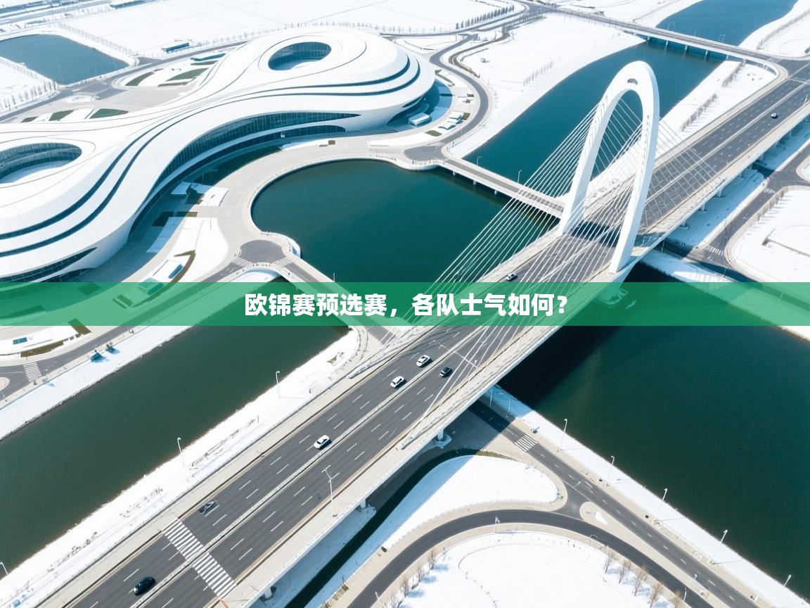 云开体育app官网入口-欧锦赛预选赛，各队士气如何？
