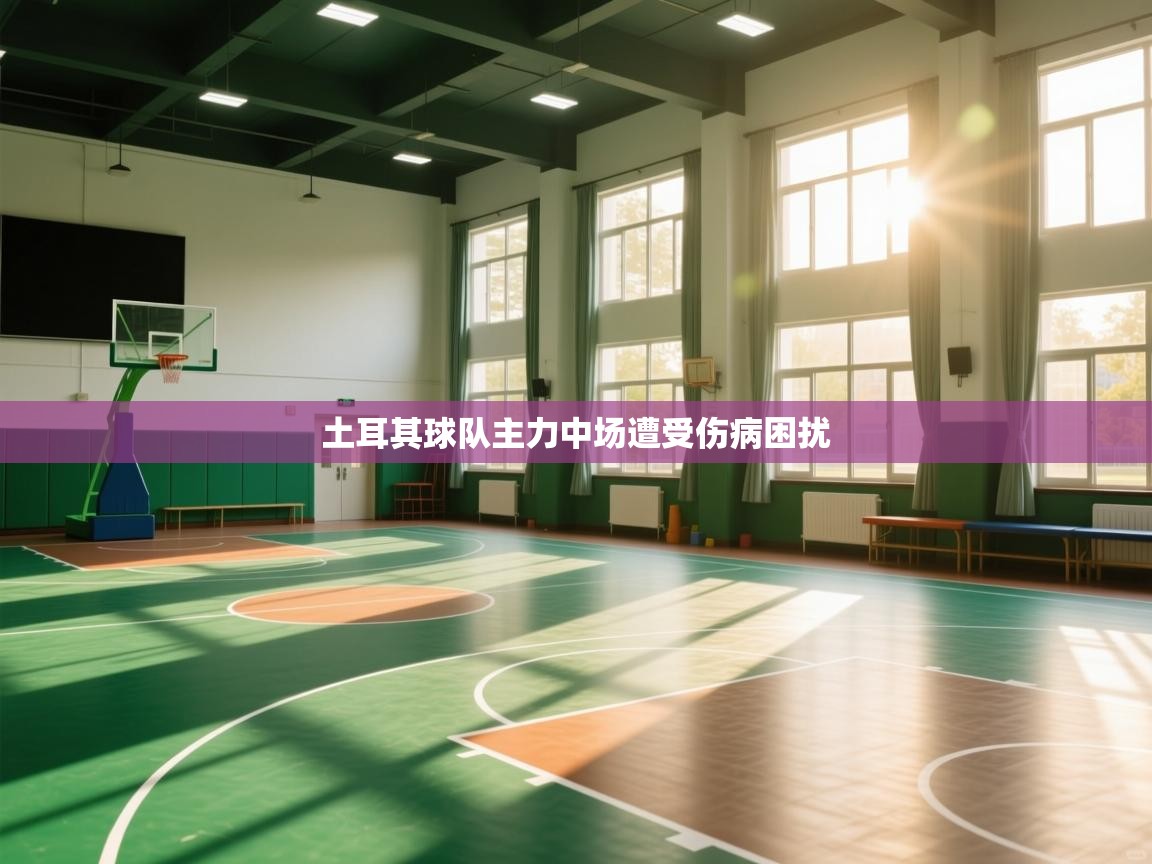 -土耳其球队主力中场遭受伤病困扰 第4张