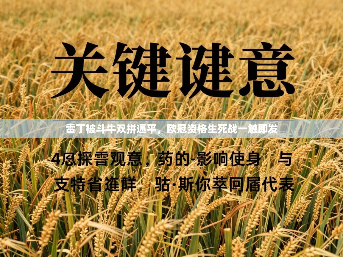 开云kaiyun体育app入口下载官网-雷丁被斗牛双拼逼平，欧冠资格生死战一触即发  第1张