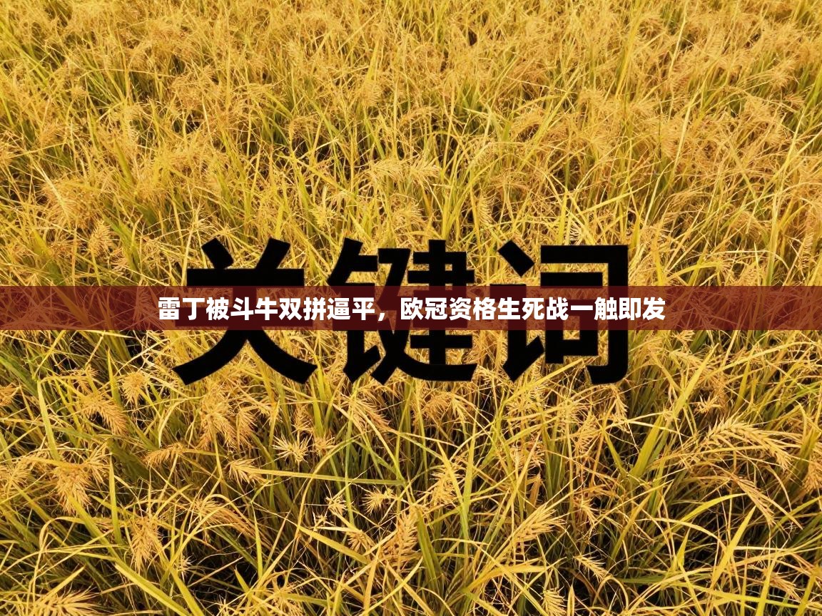 开云kaiyun体育app入口下载官网-雷丁被斗牛双拼逼平，欧冠资格生死战一触即发  第3张